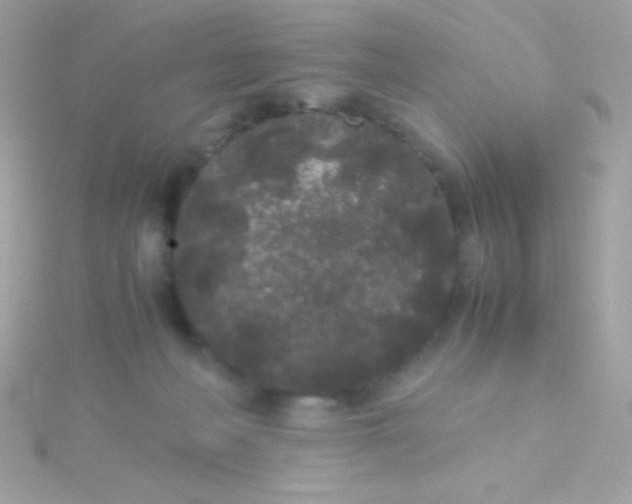 X0000115740222200911252006