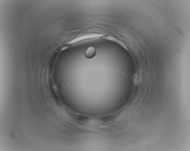 X0000115740223200911252006