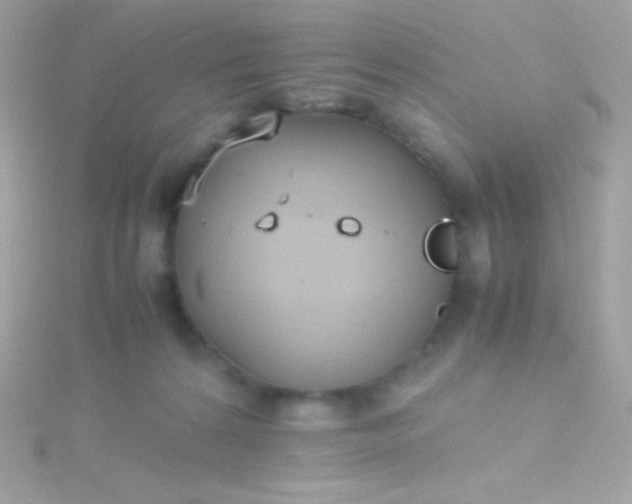 X0000115740224200911252006