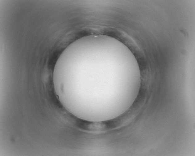 X0000115740225200911252006