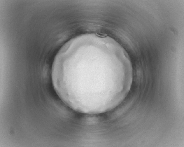 X0000115740228200911252006