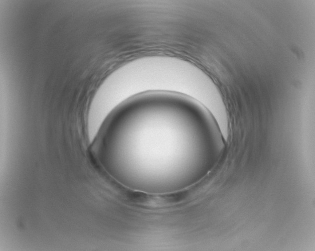 X0000115740229200911252006