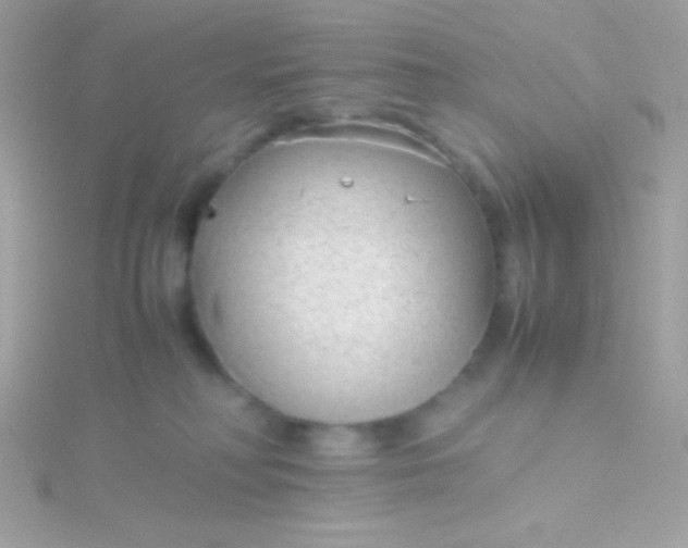 X0000115740230200911252006