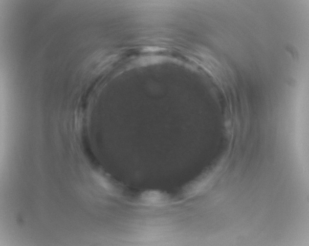 X0000115740231200911252006