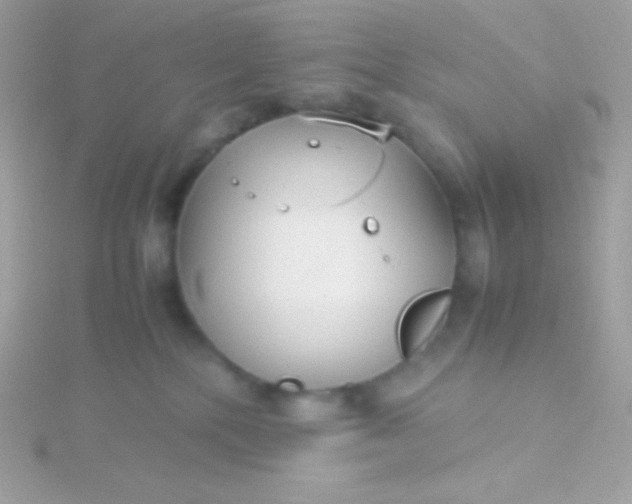 X0000115740232200911252006