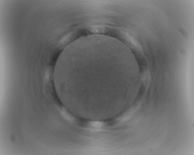 X0000115740233200911252006