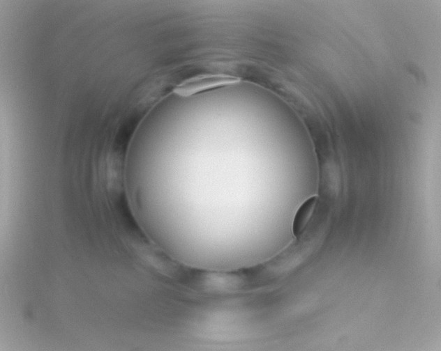 X0000115740234200911252006