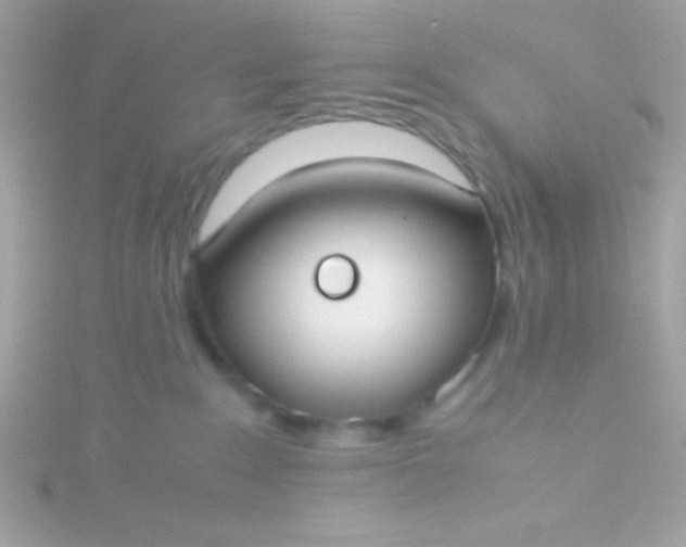 X0000115740235200911252006