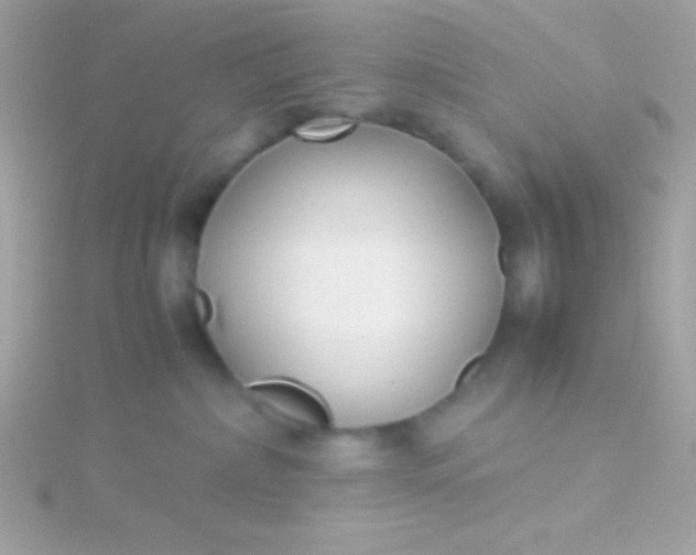 X0000115740236200911252006