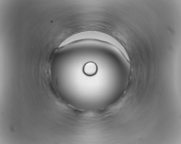 X0000115740237200911252006