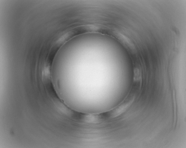 X0000115740238200911252006