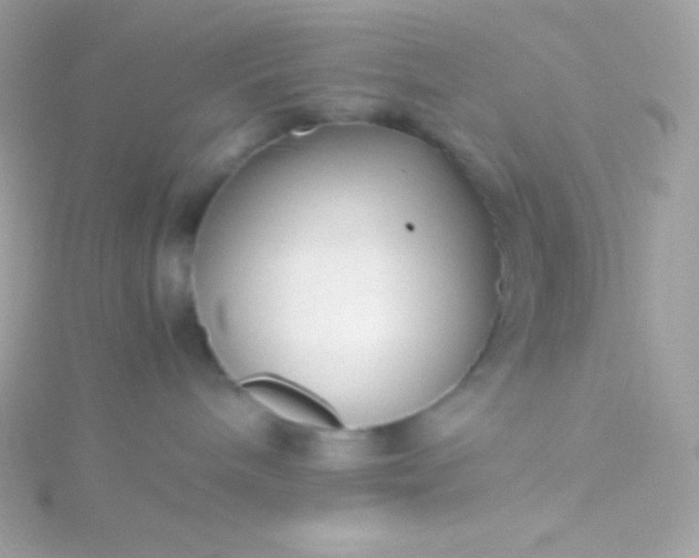 X0000115740240200911252006