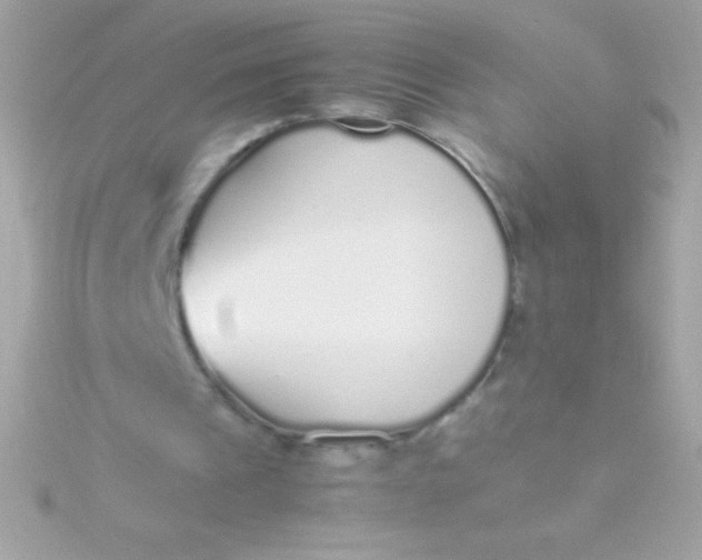 X0000115740241200911252006