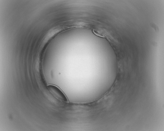 X0000115740242200911252006