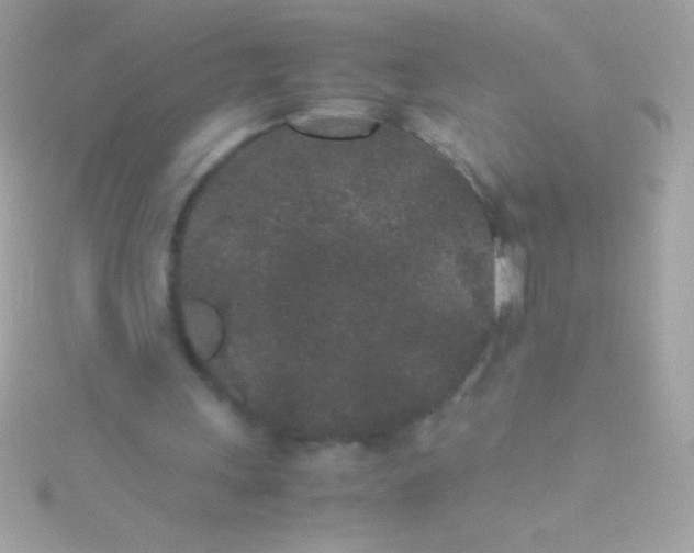 X0000115740243200911252006