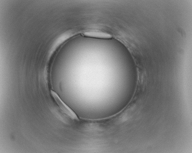 X0000115740244200911252006