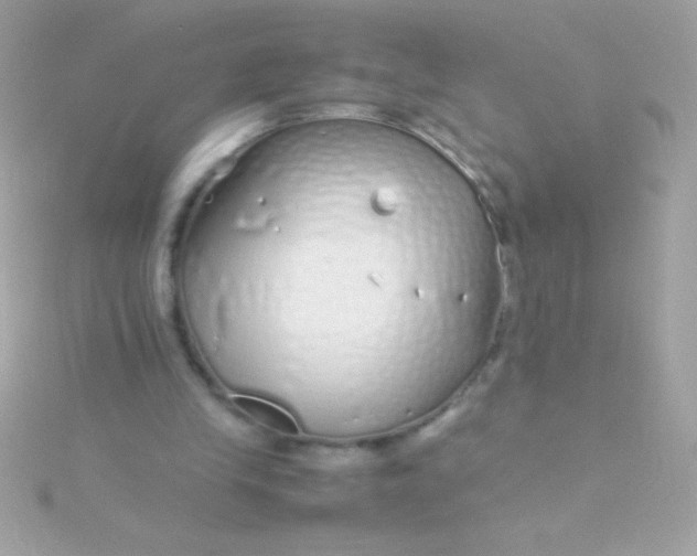 X0000115740245200911252006