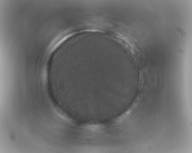 X0000115740247200911252006