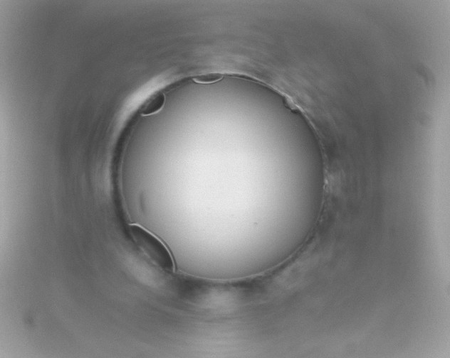 X0000115740248200911252006