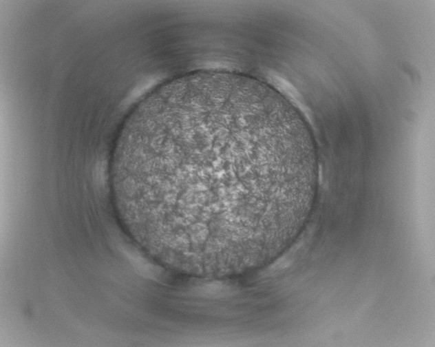 X0000115740249200911252006