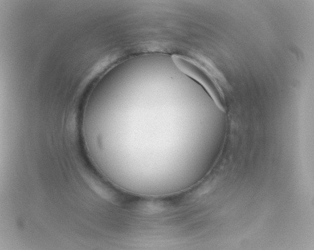 X0000115740250200911252006