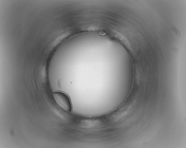 X0000115740251200911252006