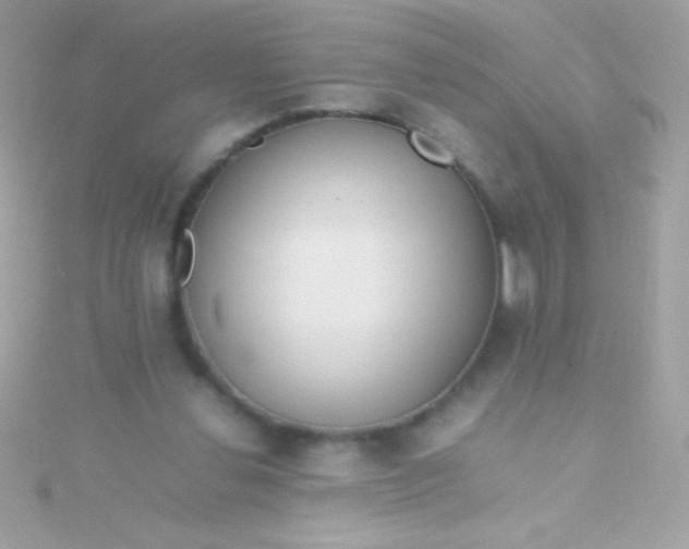 X0000115740252200911252006