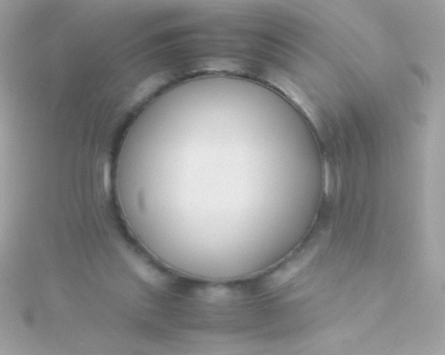 X0000115740253200911252006