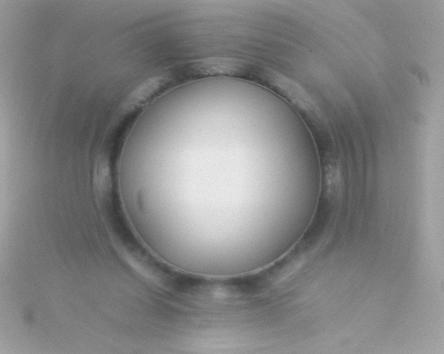 X0000115740254200911252006