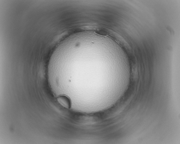 X0000115740255200911252006