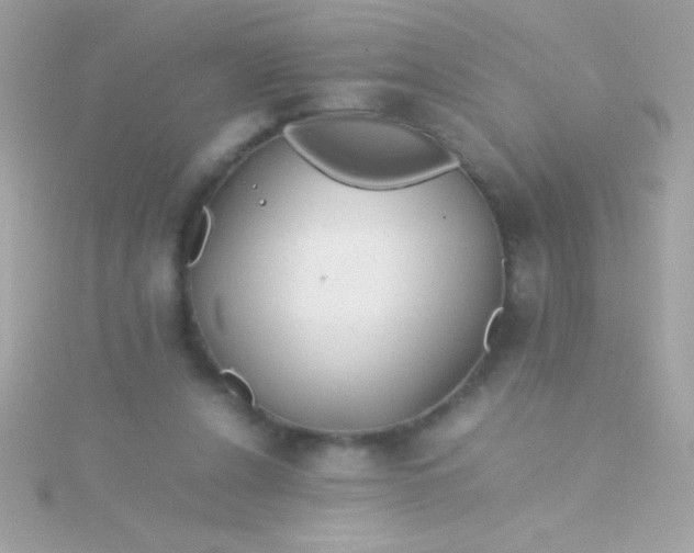 X0000115740256200911252006