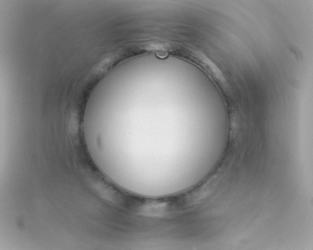 X0000115740257200911252006