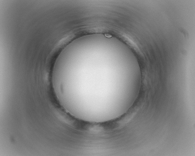 X0000115740258200911252006