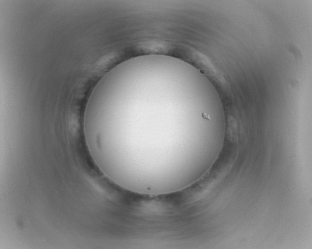 X0000115740259200911252006