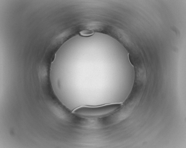 X0000115740260200911252006