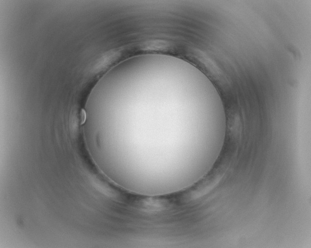 X0000115740261200911252006