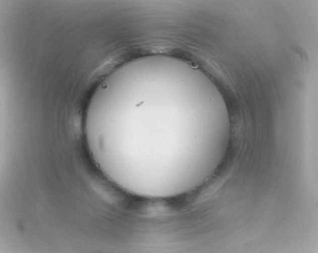 X0000115740262200911252006