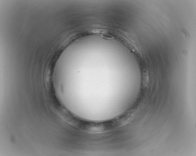 X0000115740263200911252006