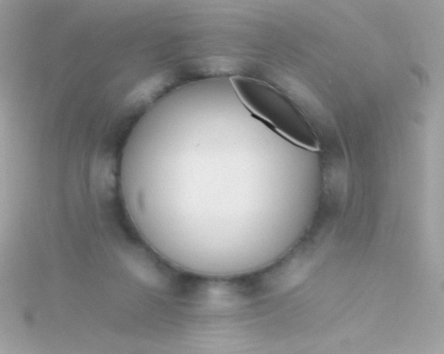 X0000115740264200911252006