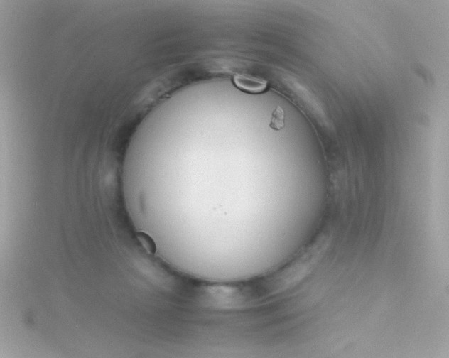 X0000115740265200911252006