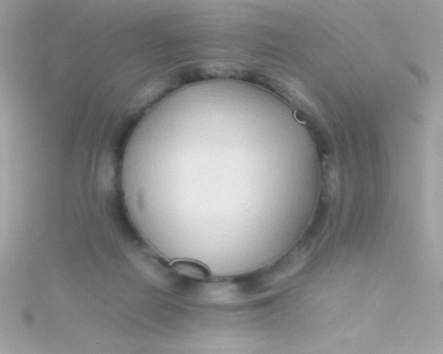 X0000115740266200911252006