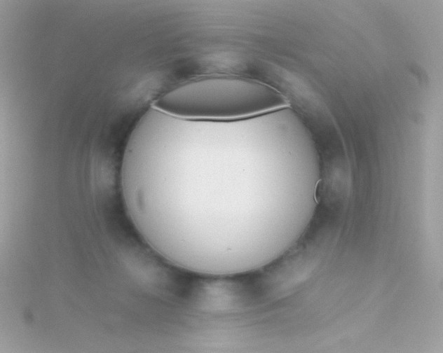 X0000115740268200911252006