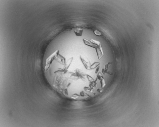 X0000115740269200911252006