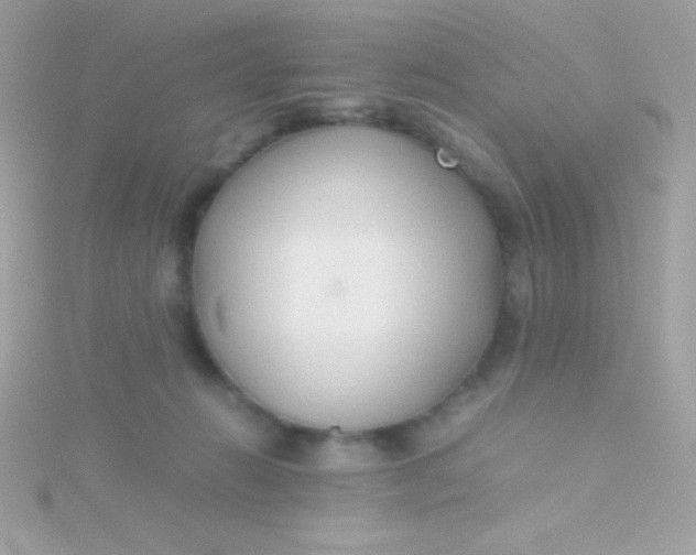 X0000115740270200911252006