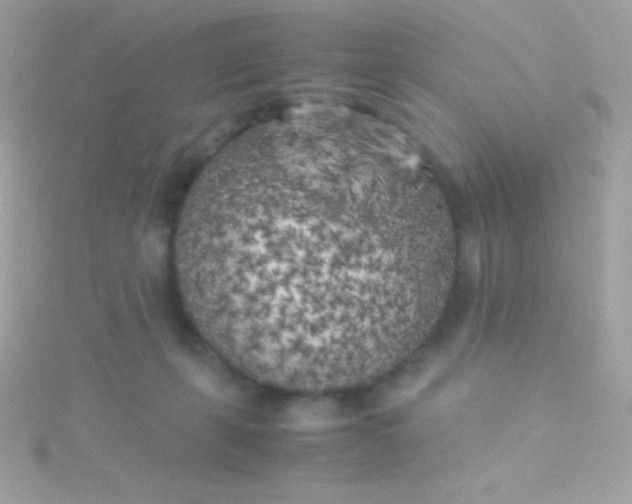 X0000115740271200911252006