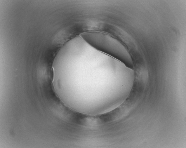 X0000115740272200911252006