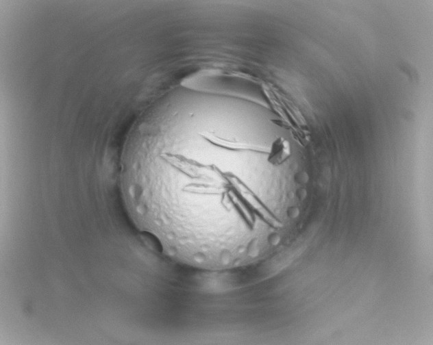 X0000115740273200911252006