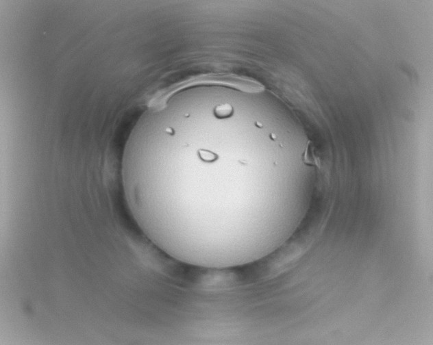 X0000115740274200911252006