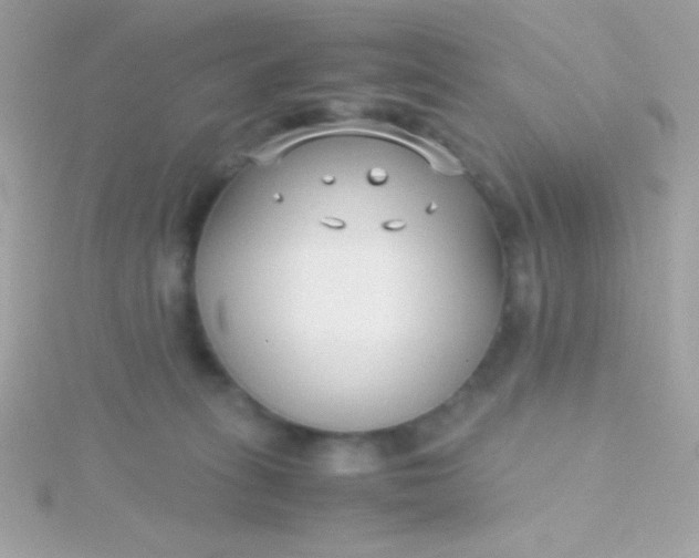 X0000115740275200911252006