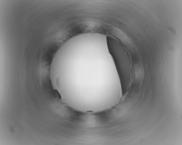 X0000115740276200911252006